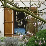 ベッド・アンド・ブレックファスト Les Prunelliers ランブイエ